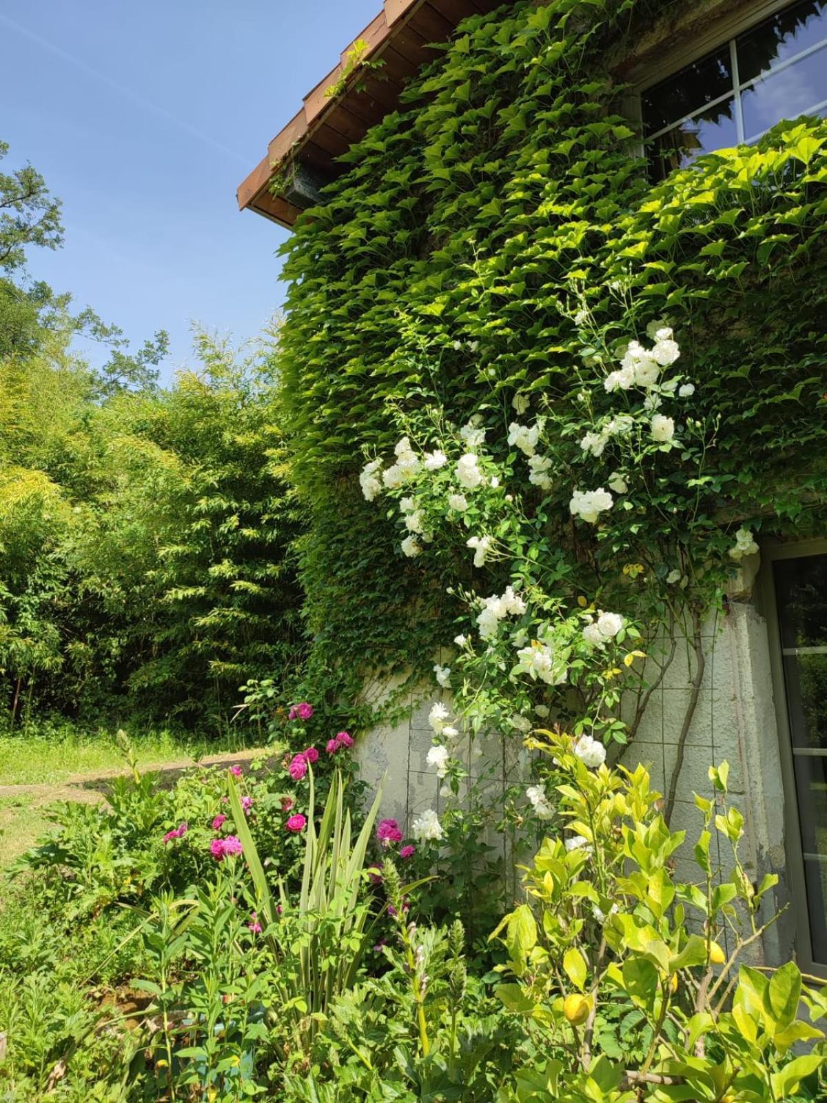 Chambre D'Hotes Le Moulin De Moulis 외부 사진