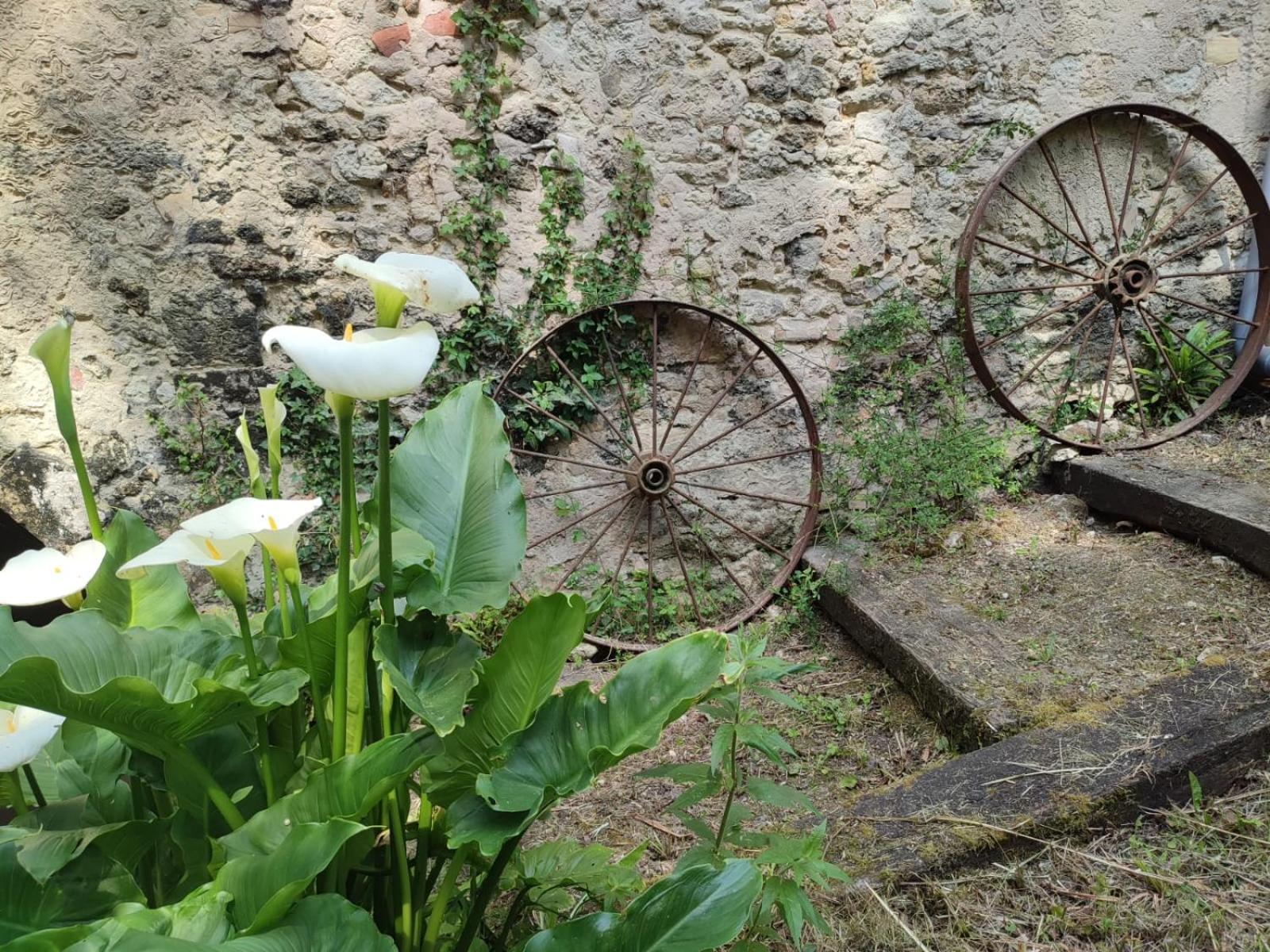 Chambre D'Hotes Le Moulin De Moulis 외부 사진